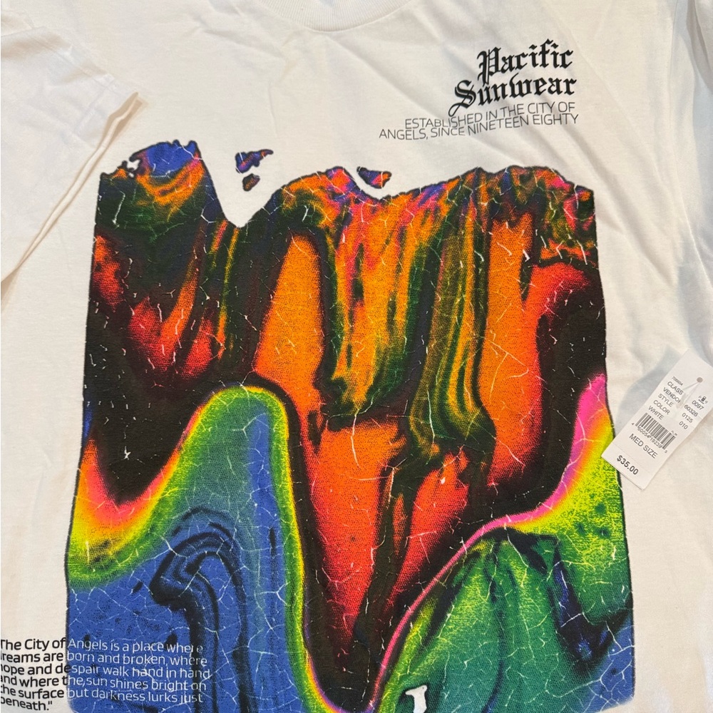 PacSun Multicolor Graphic Tee